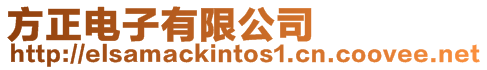 方正電子有限公司