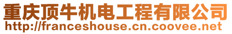 重慶頂牛機(jī)電工程有限公司