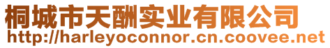 桐城市天酬實(shí)業(yè)有限公司