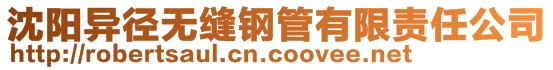 沈陽異徑無縫鋼管有限責任公司