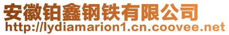 安徽鉑鑫鋼鐵有限公司