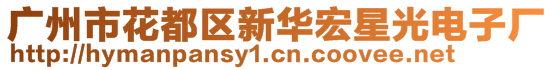 广州市花都区新华宏星光电子厂