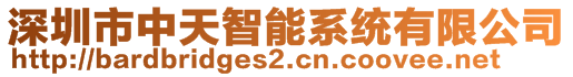 深圳市中天智能系統有限公司
