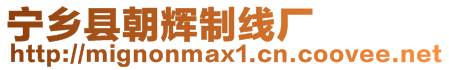 寧鄉縣朝輝制線廠