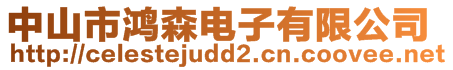 中山市鴻森電子有限公司