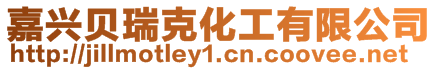 嘉興貝瑞克化工有限公司