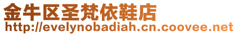 金牛區圣梵依鞋店