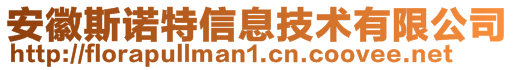 安徽斯諾特信息技術有限公司