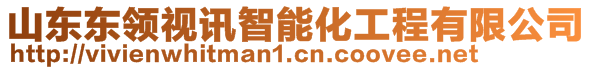 山東東領(lǐng)視訊智能化工程有限公司