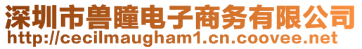 深圳市獸瞳電子商務有限公司