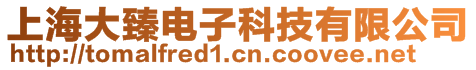 上海大臻電子科技有限公司