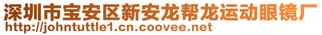 深圳市寶安區(qū)新安龍幫龍運動眼鏡廠