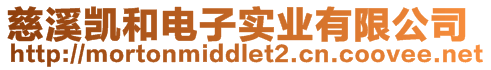 慈溪?jiǎng)P和電子實(shí)業(yè)有限公司