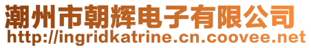 潮州市朝輝電子有限公司