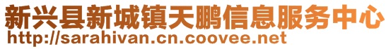 新興縣新城鎮(zhèn)天鵬信息服務中心
