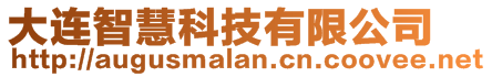 大連智慧科技有限公司