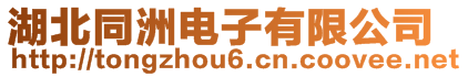 湖北同洲電子有限公司