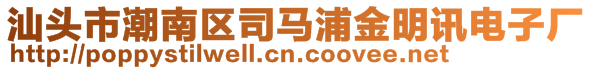 汕头市潮南区司马浦金明讯电子厂