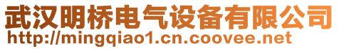 武漢明橋電氣設(shè)備有限公司