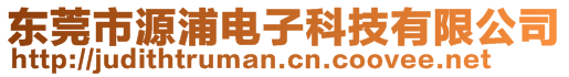 东莞市源浦电子科技有限公司