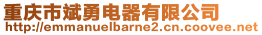 重慶市斌勇電器有限公司