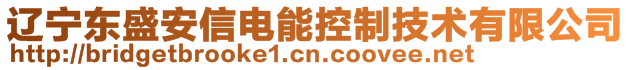 遼寧東盛安信電能控制技術有限公司