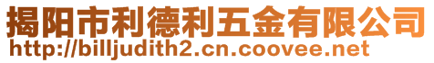 揭阳市利德利五金有限公司