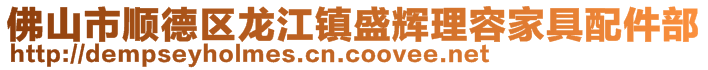 佛山市顺德区龙江镇盛辉理容家具配件部