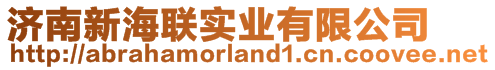 濟南新海聯(lián)實業(yè)有限公司