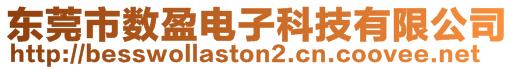 東莞市數(shù)盈電子科技有限公司