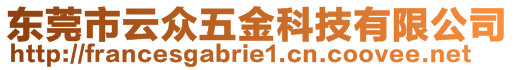 東莞市云眾五金科技有限公司