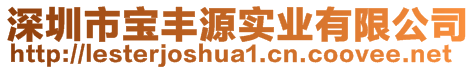 深圳市寶豐源實業(yè)有限公司