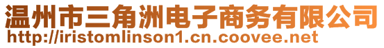 溫州市三角洲電子商務有限公司