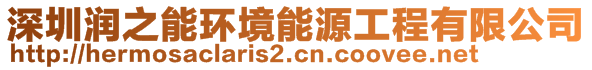 深圳潤(rùn)之能環(huán)境能源工程有限公司