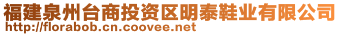 福建泉州臺(tái)商投資區(qū)明泰鞋業(yè)有限公司