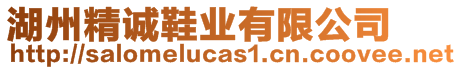 湖州精誠鞋業有限公司