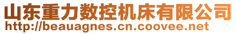 山东重力数控机床有限公司