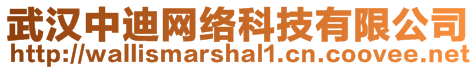 武漢中迪網(wǎng)絡(luò)科技有限公司