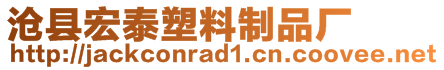 滄縣宏泰塑料制品廠