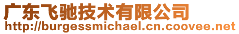 廣東飛馳技術有限公司
