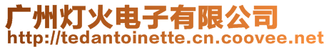 廣州燈火電子有限公司