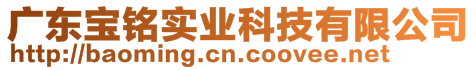 廣東寶銘實業(yè)科技有限公司