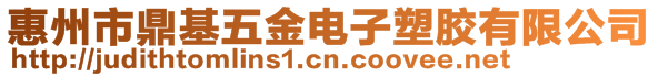 惠州市鼎基五金電子塑膠有限公司