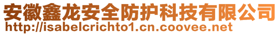 安徽鑫龍安全防護(hù)科技有限公司