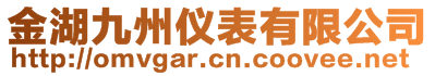 金湖九州仪表有限公司