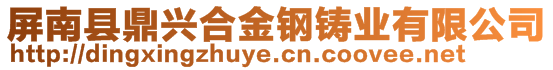 屏南縣鼎興合金鋼鑄業(yè)有限公司