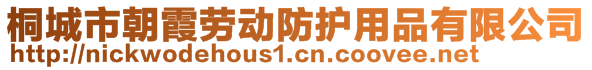 桐城市朝霞劳动防护用品有限公司