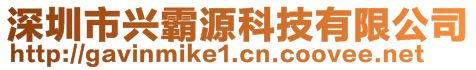 深圳市興霸源科技有限公司