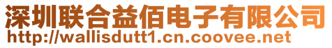 深圳聯(lián)合益佰電子有限公司