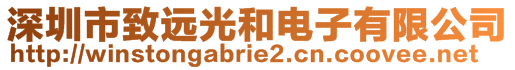 深圳市致遠光和電子有限公司